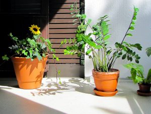 optimiser un petit balcon